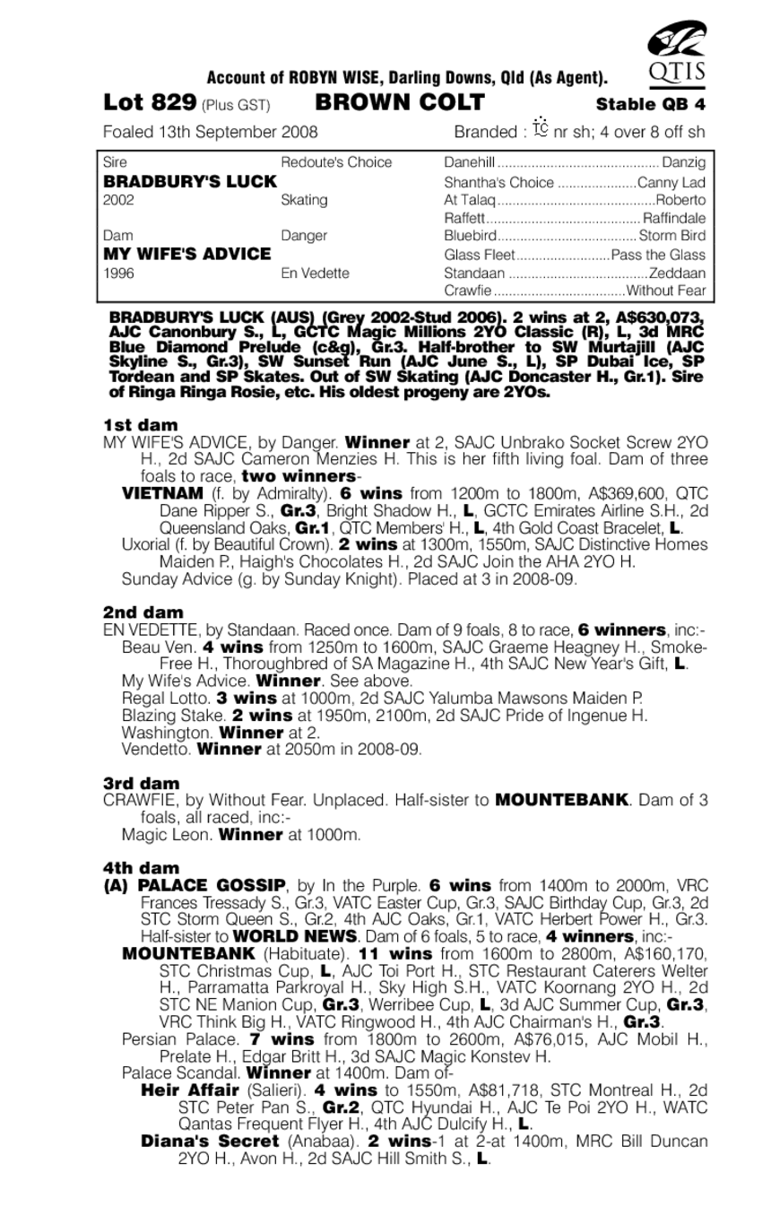 Lucky Sound - pedigree