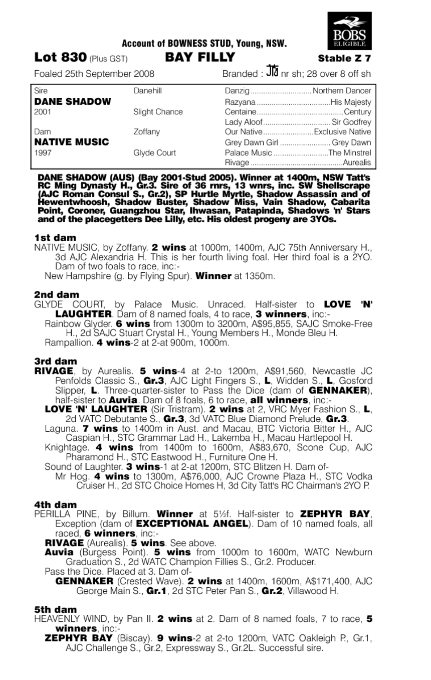 Campionessa - pedigree