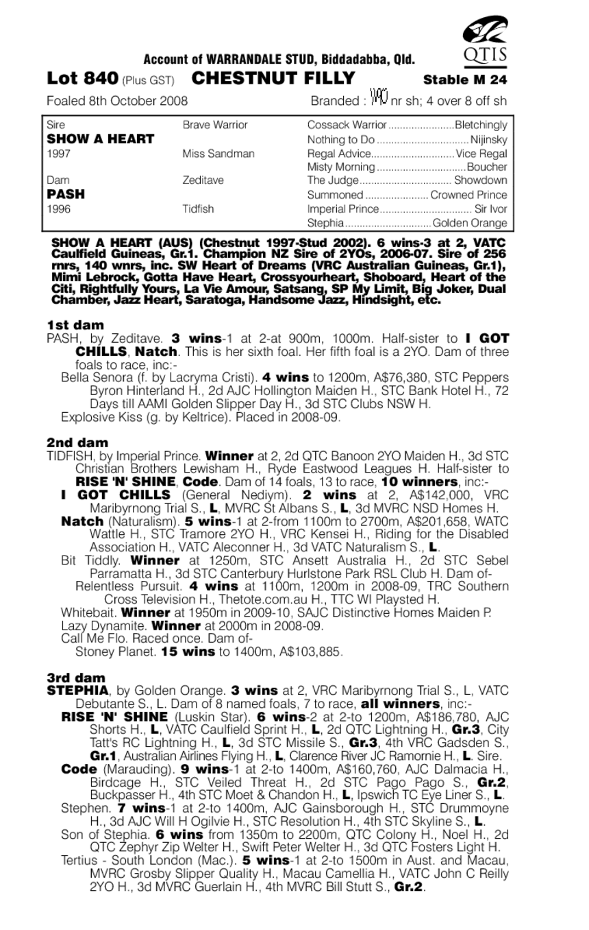 Lincolns Romance - pedigree