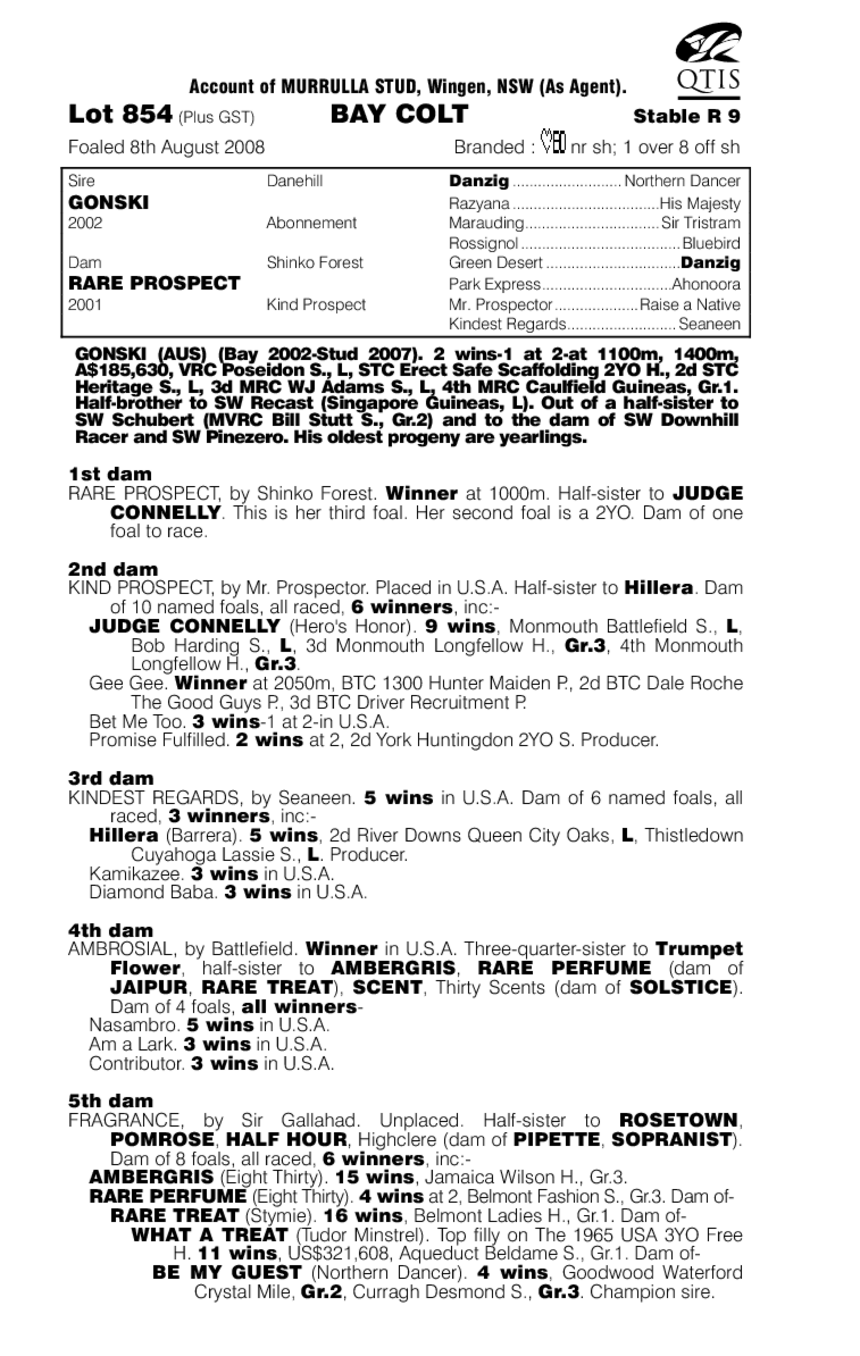 Rare Find - pedigree