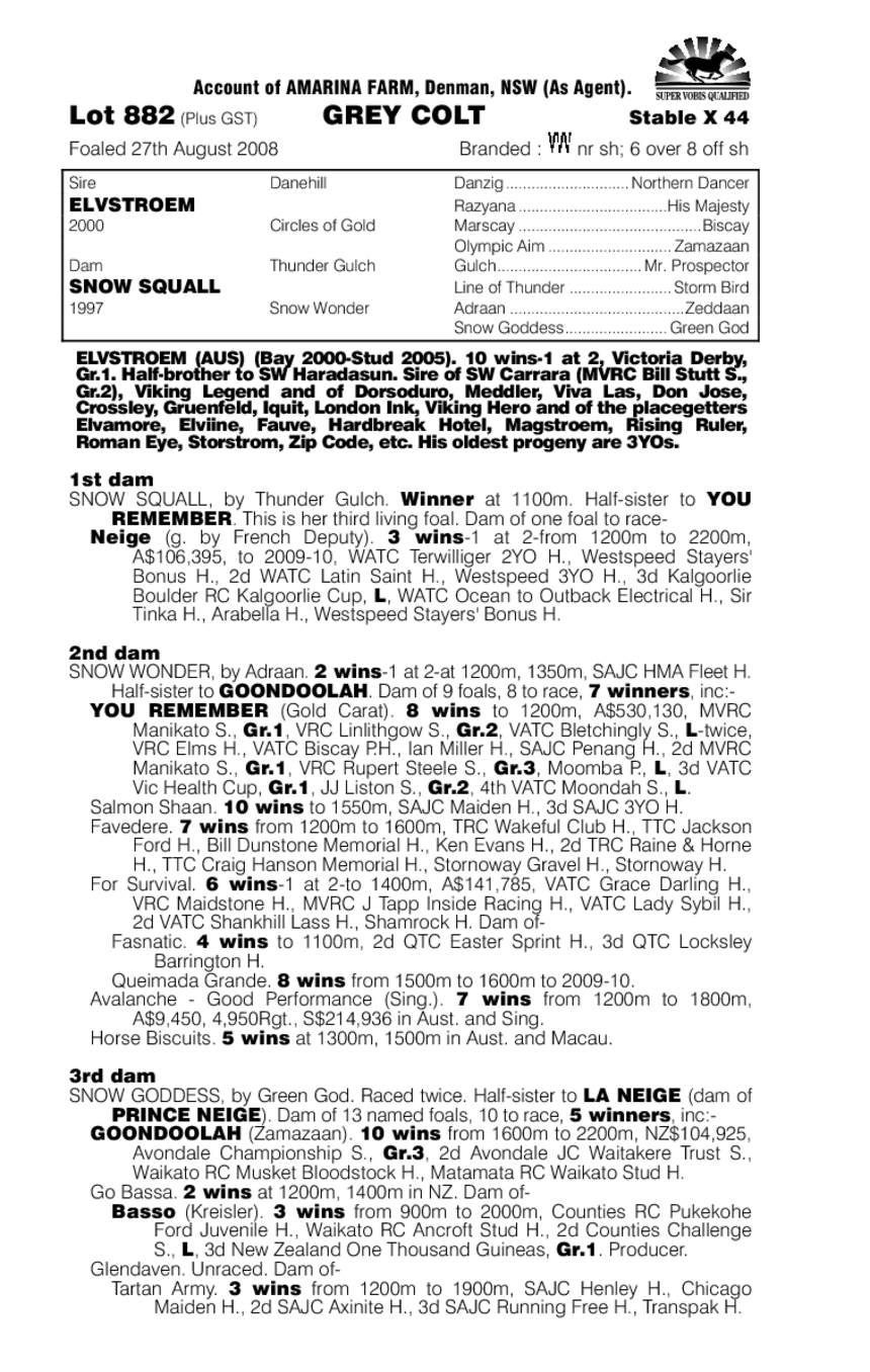 Night Chills - pedigree