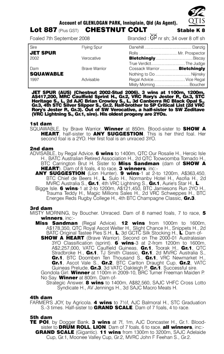 Jump On The Jetty - pedigree