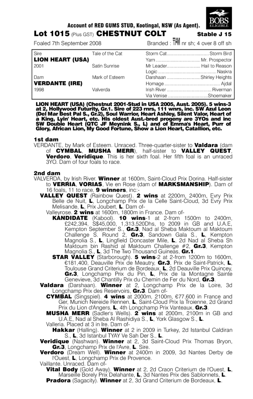 Lions Dante - pedigree