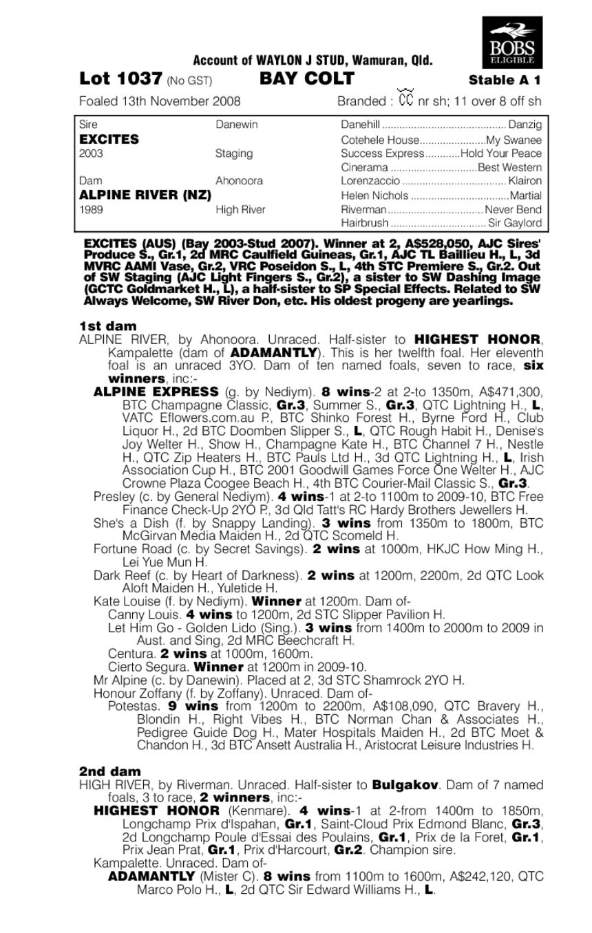 Tallai Gold - pedigree