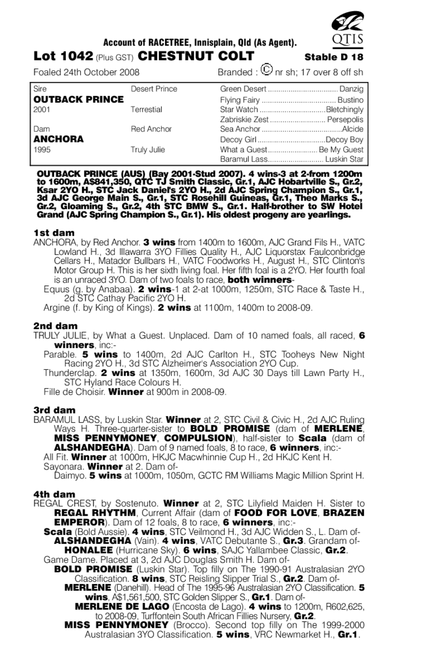 Outlaw Prince - pedigree