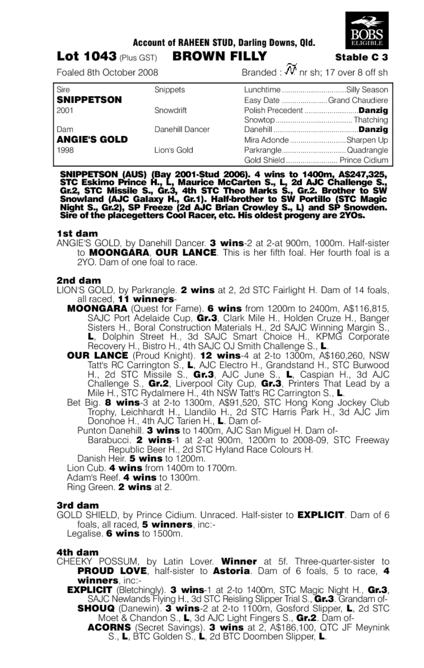 A Snip Of Gold - pedigree