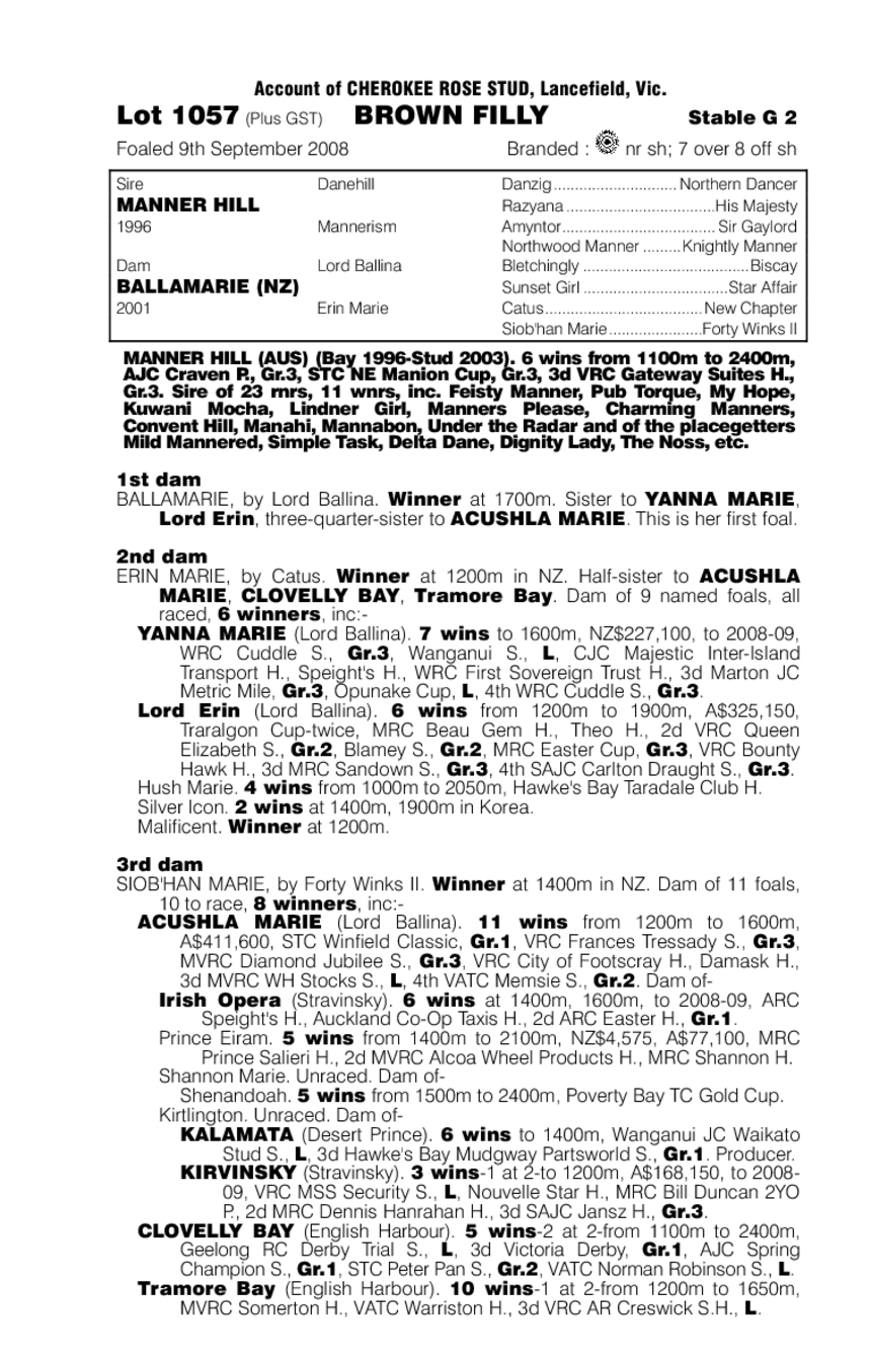 Black Chocolate (AUS) - pedigree