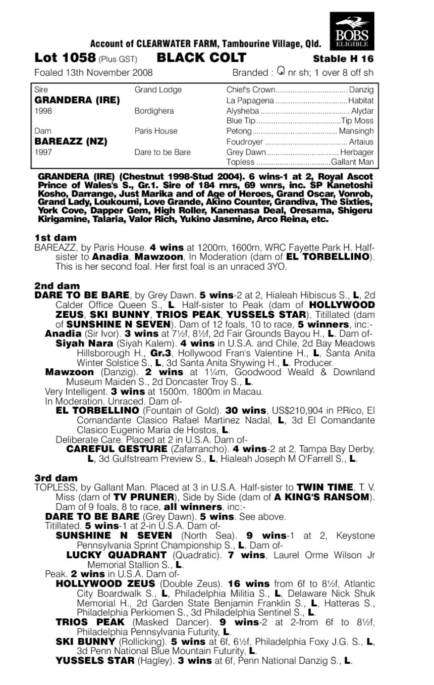 Grandera (IRE) / Bareazz (NZ) - pedigree