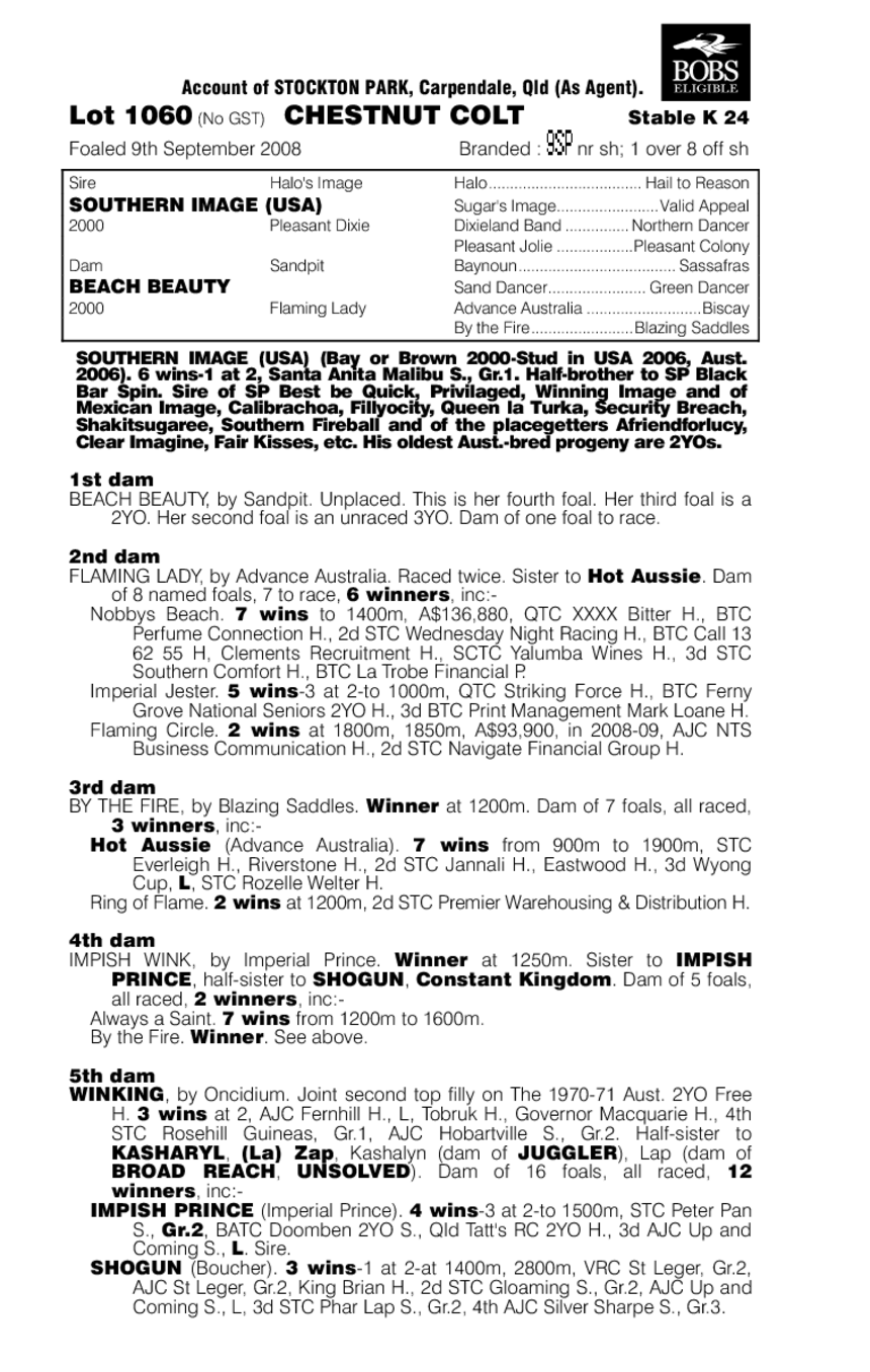 Indigo James - pedigree