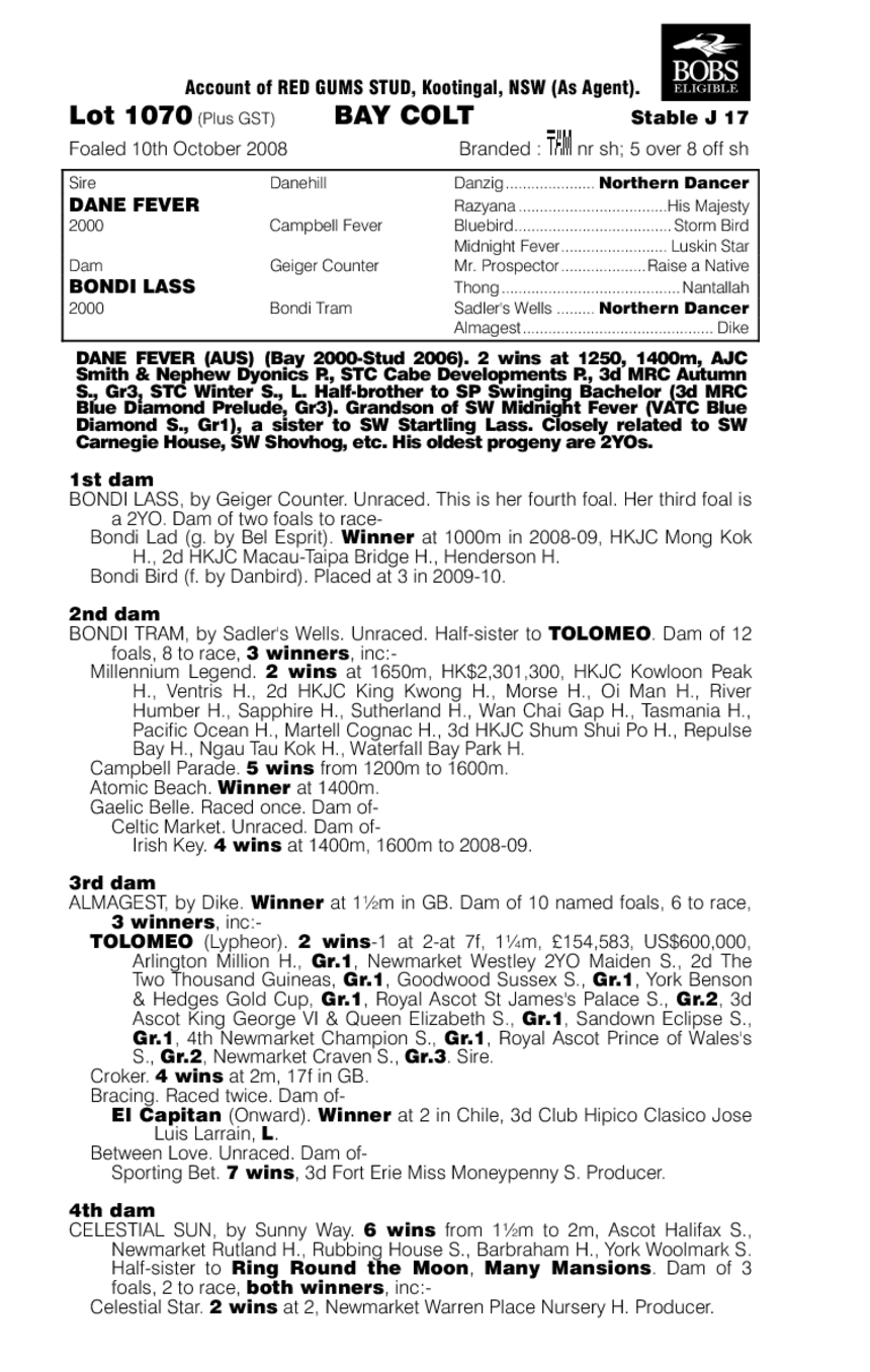 Viva Fever - pedigree