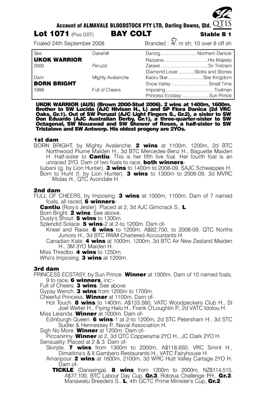 Ukok Warrior (AUS) / Born Bright (AUS) - pedigree