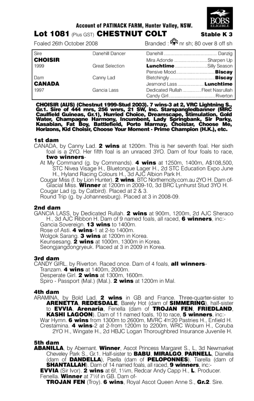 Denaro Veloce - pedigree