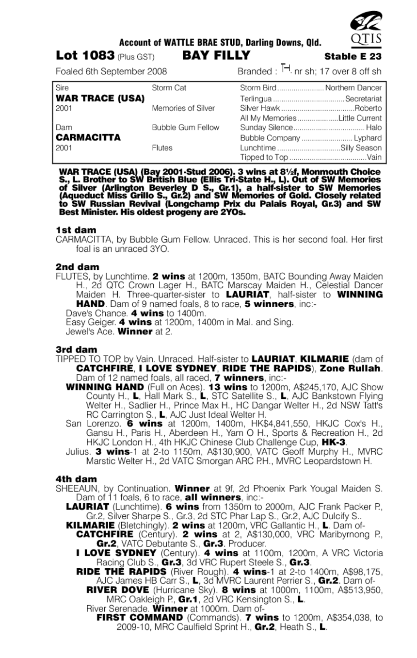 War Trace (USA) / Carmacitta (AUS) - pedigree