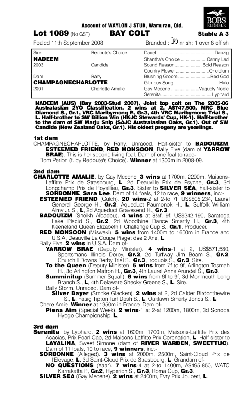 Train Robber - pedigree