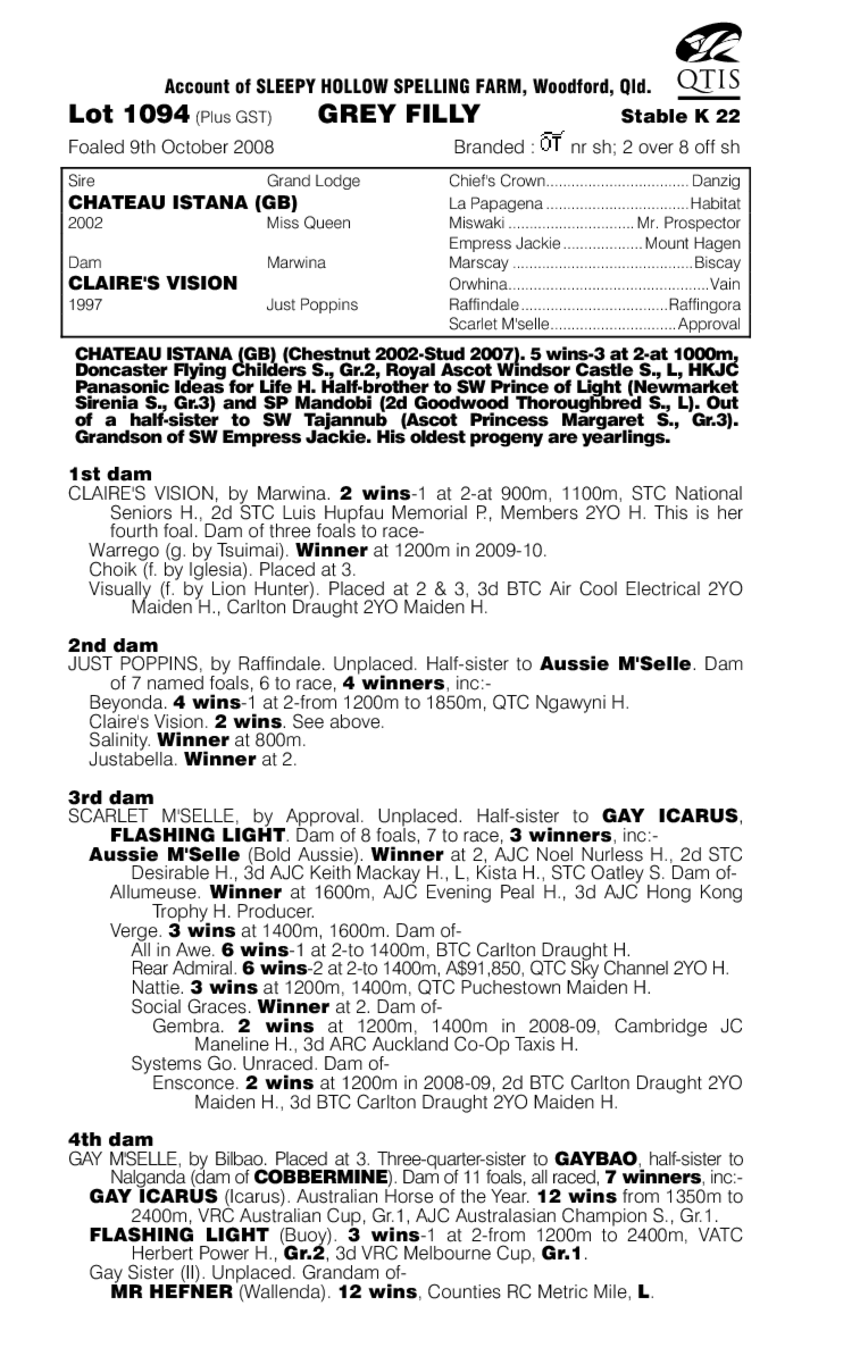 Daydreamer - pedigree