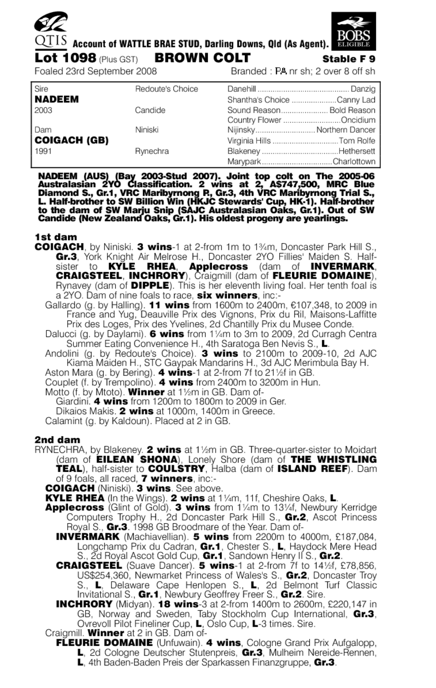 Mister Chicago (AUS) - pedigree
