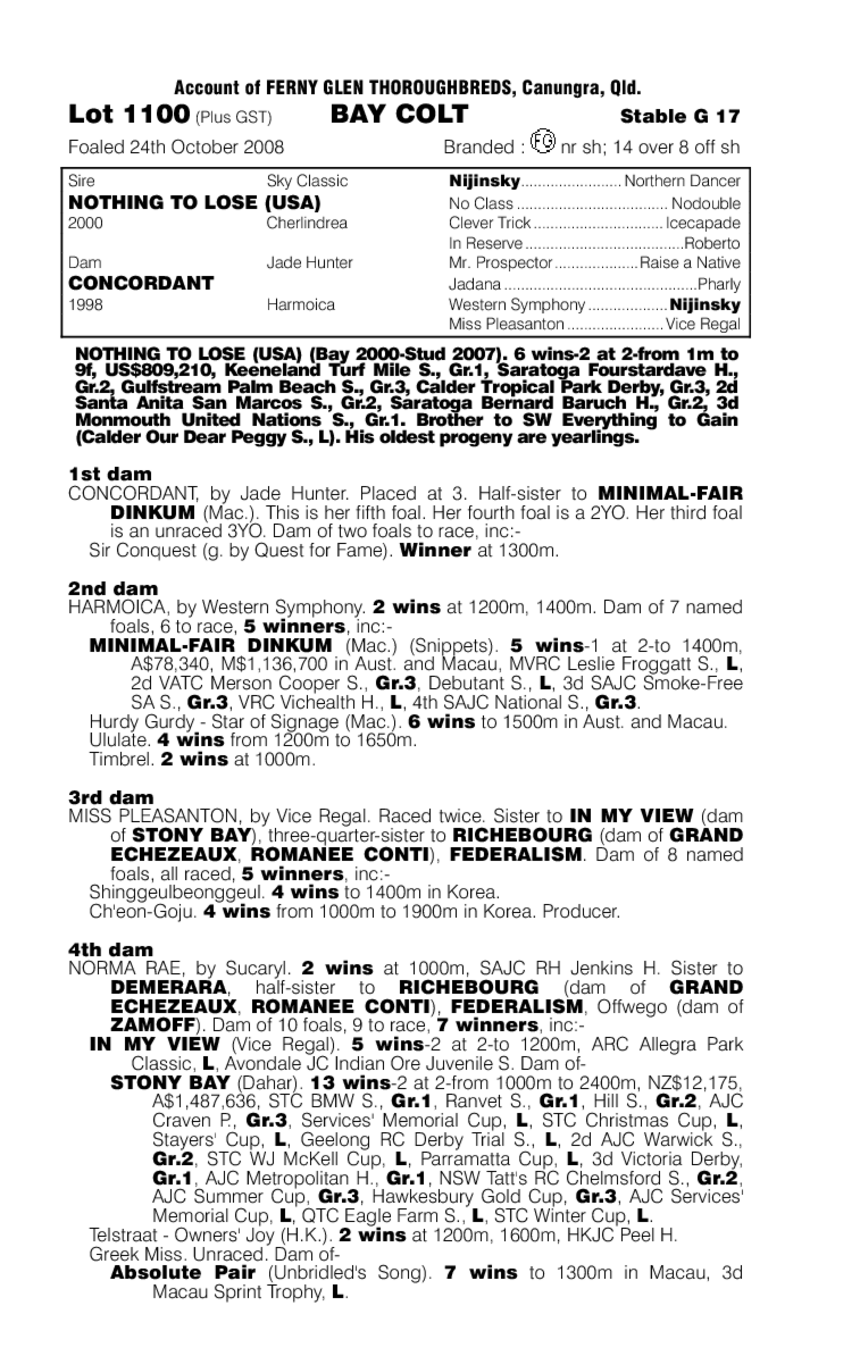 Nothing To Lose (USA) / Concordant (AUS) - pedigree
