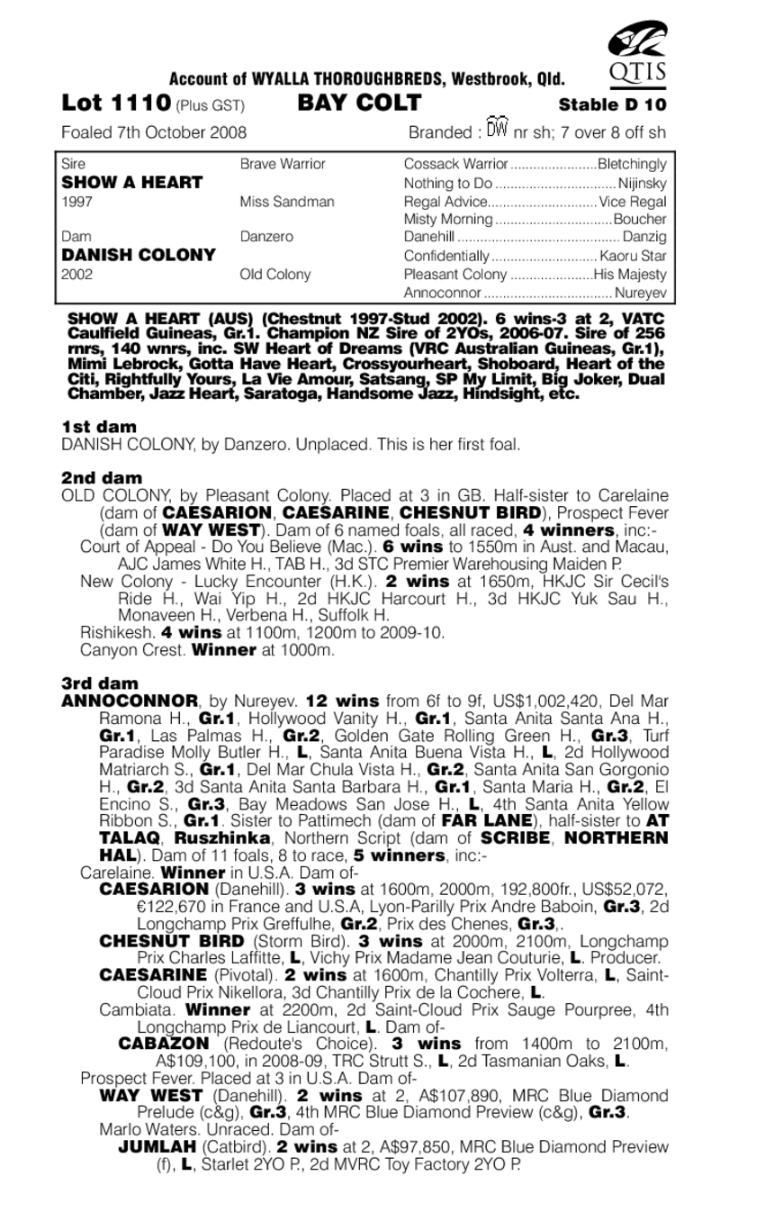 Viking Heart - pedigree