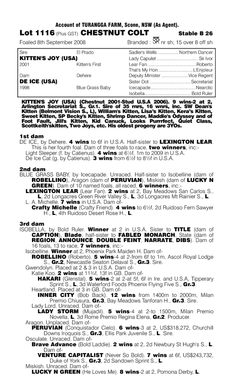 Decoolcat - pedigree