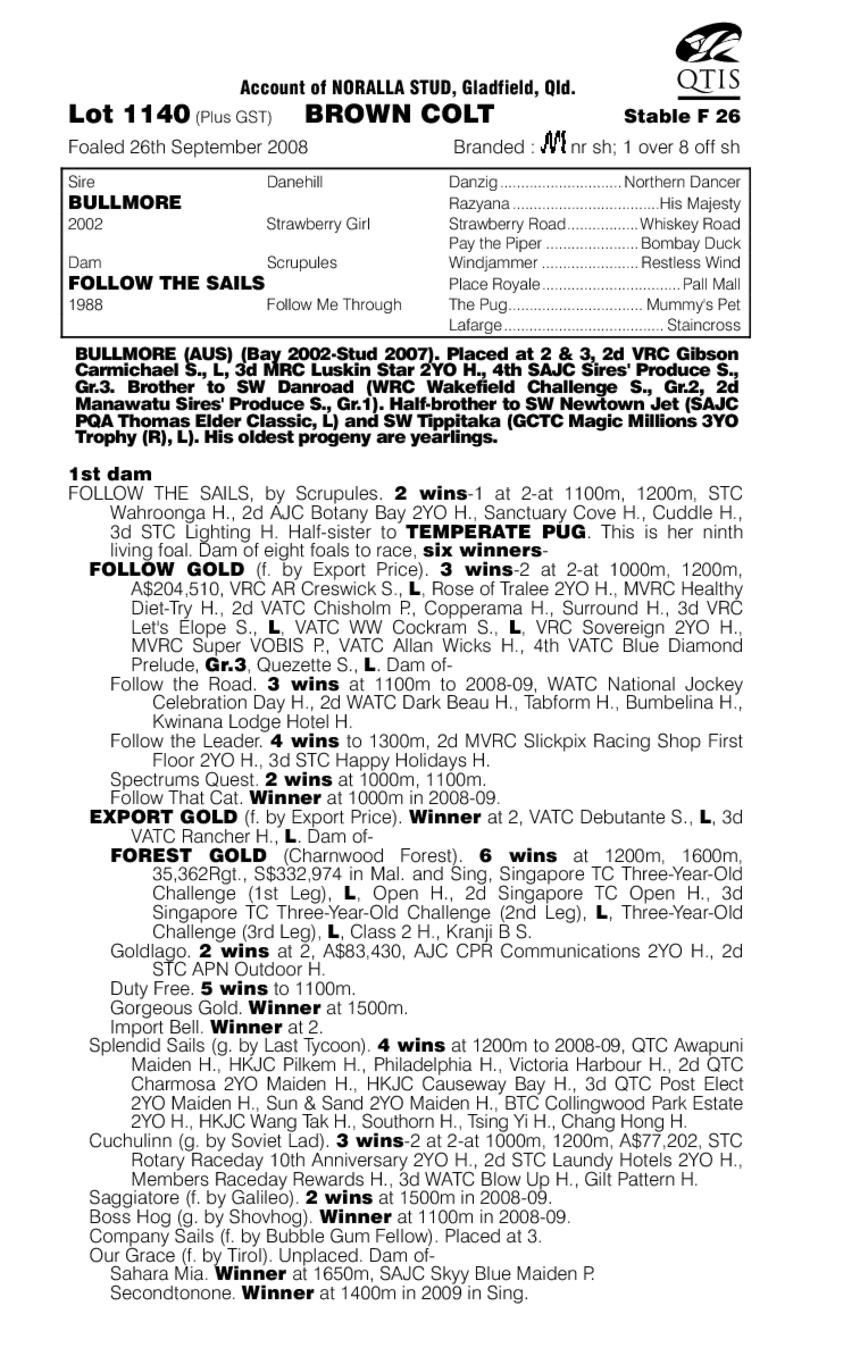 No More Bull - pedigree