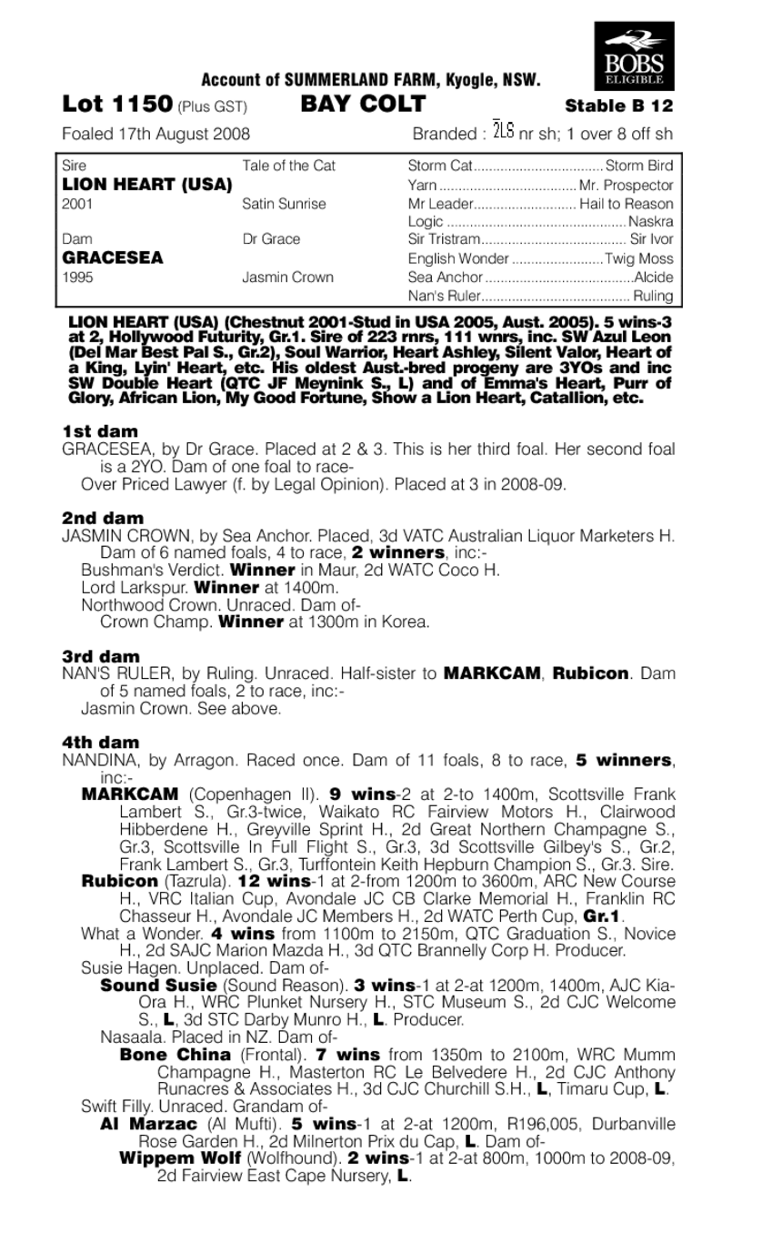 Top Wazza - pedigree