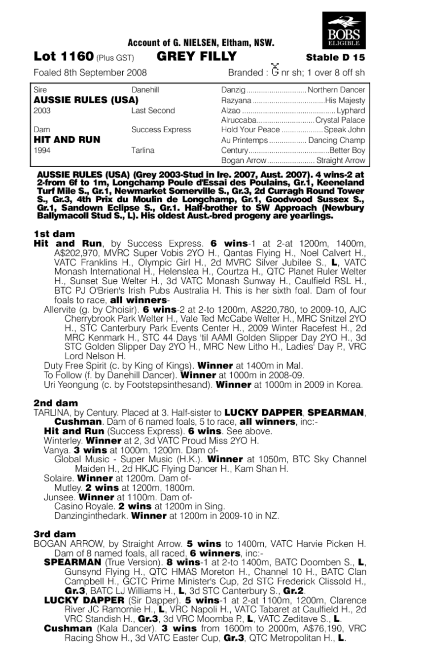 Run And Play - pedigree