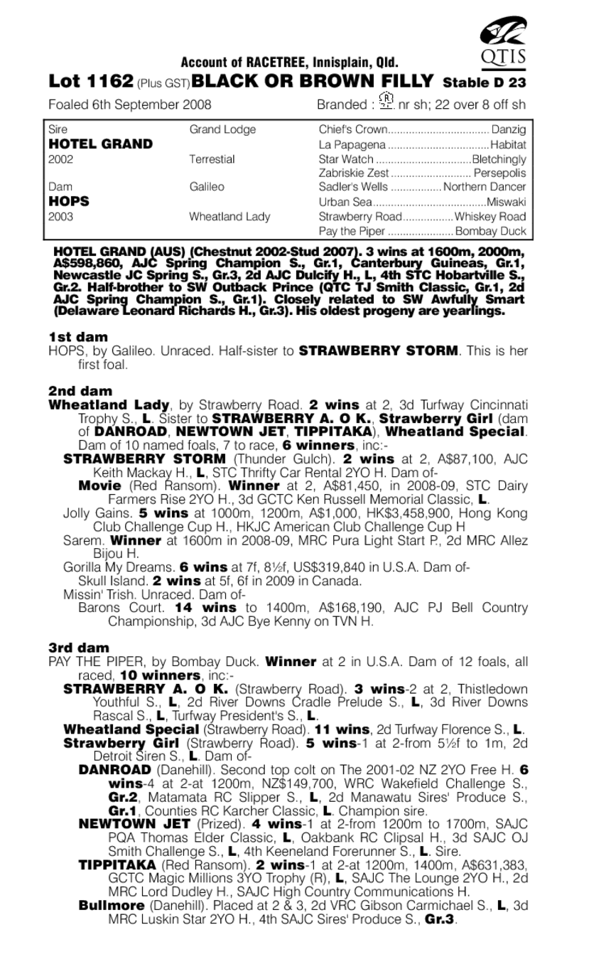 Hotel Hussy - pedigree