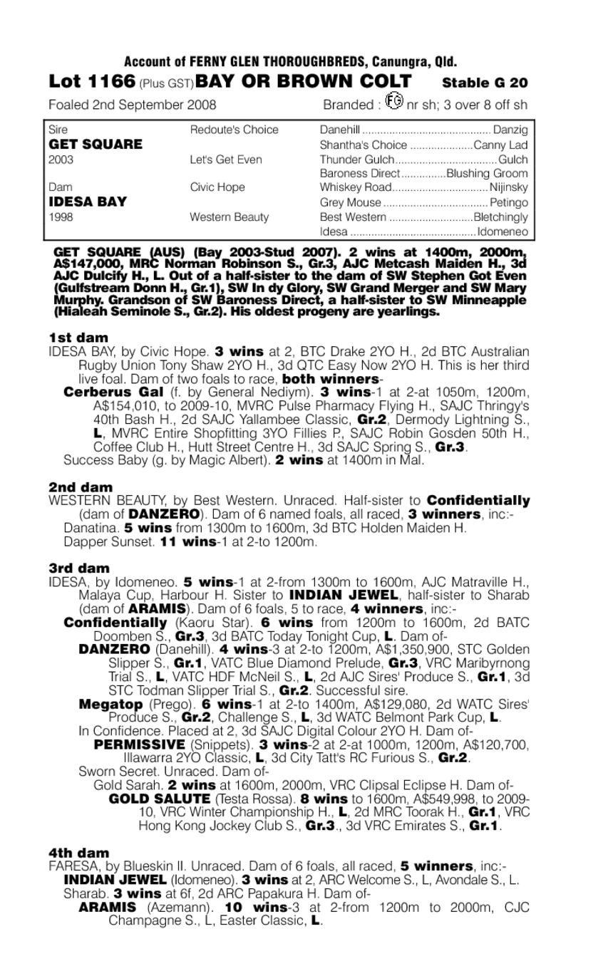 Mr Fire Shoes - pedigree