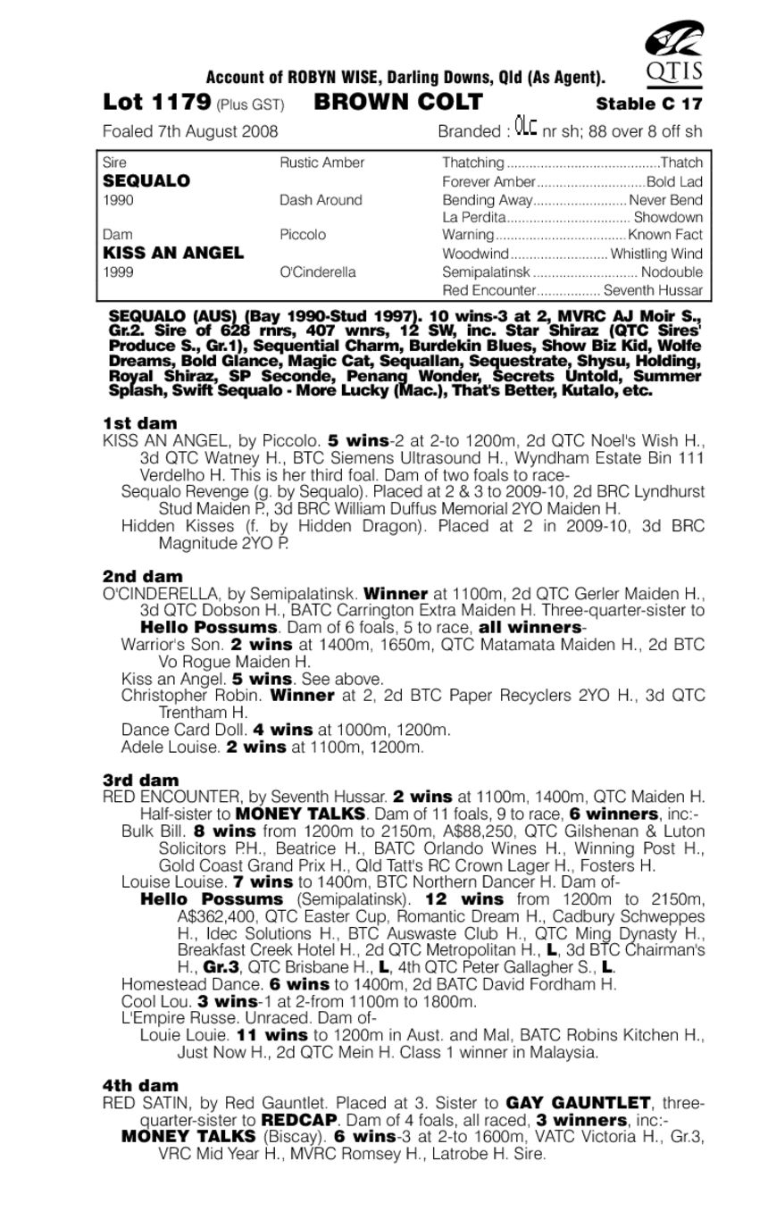 Flying Ryan - pedigree