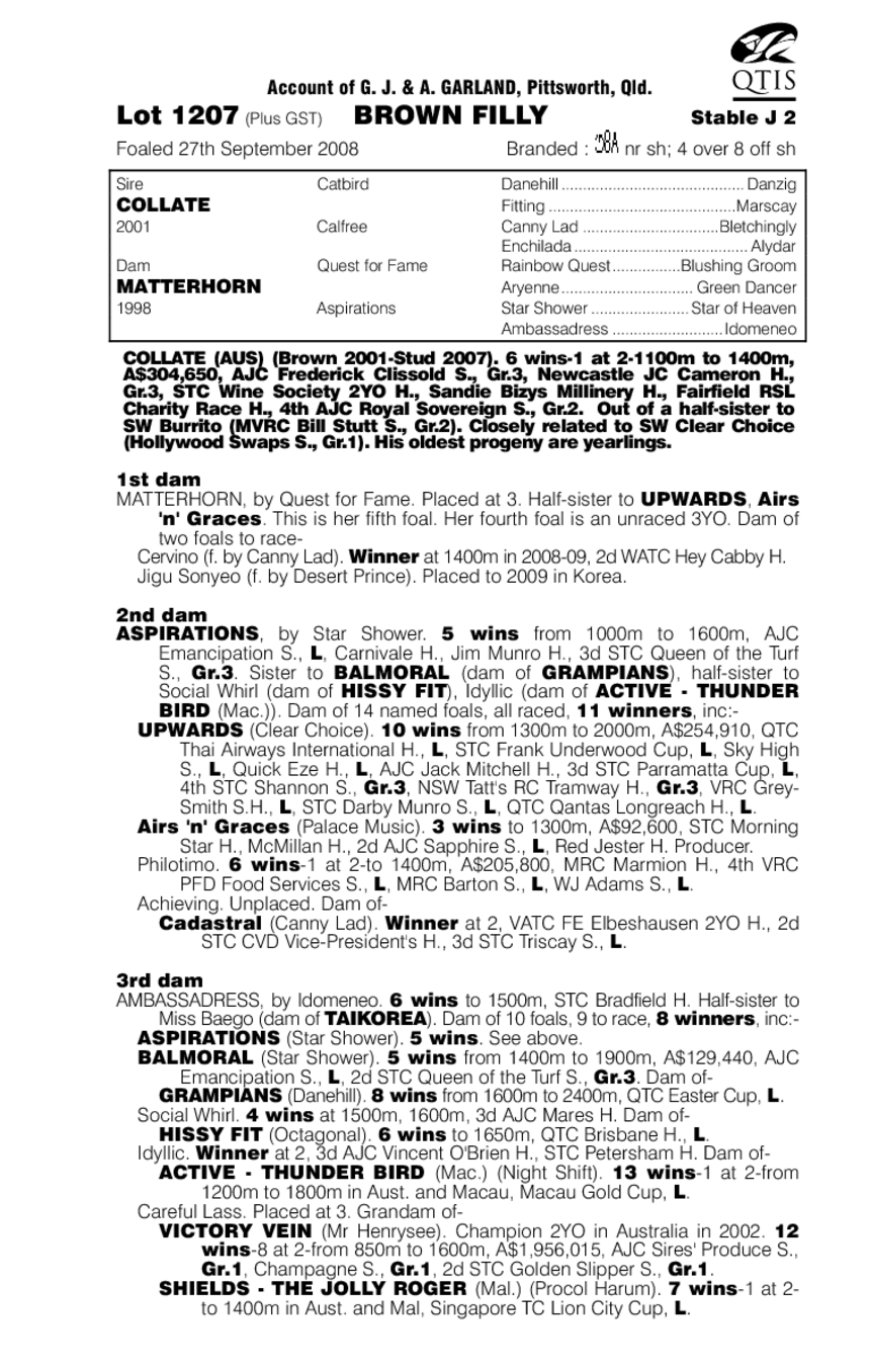 Cards 'N' Owls - pedigree