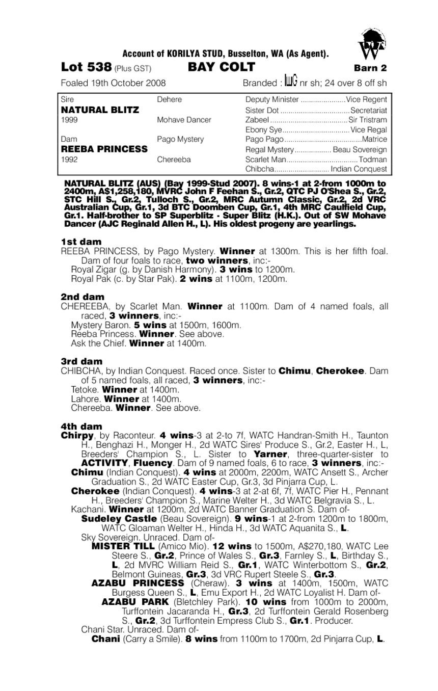 Reeba Blitz - pedigree