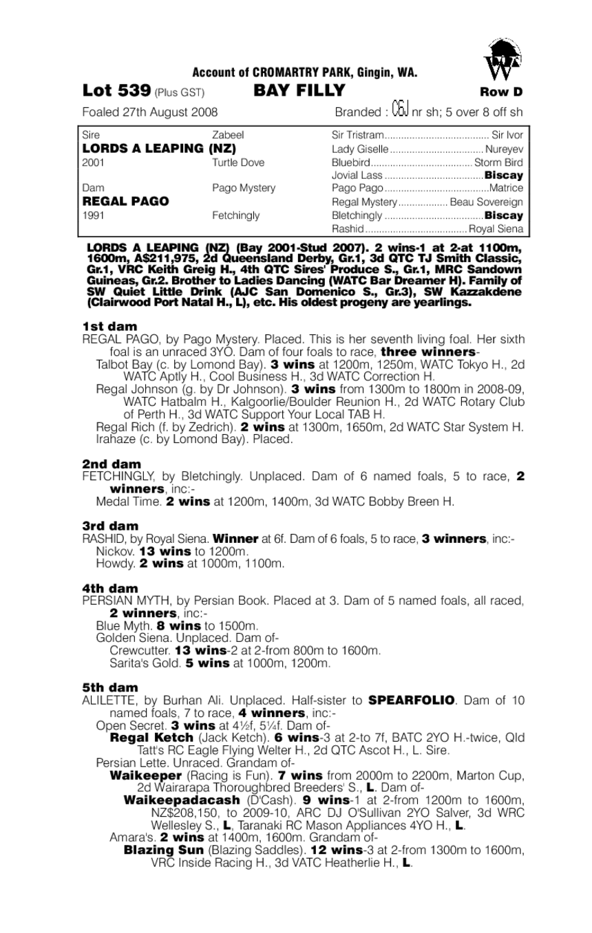 Simmo's Choice - pedigree