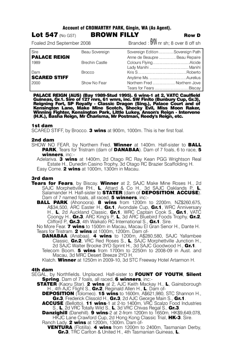 Palace Reign (AUS) / Scared Stiff (AUS) - pedigree
