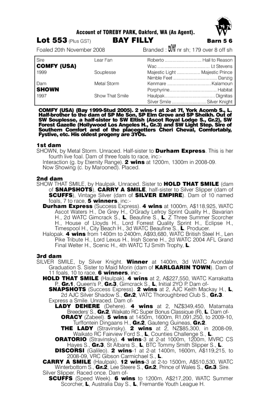 Comfy (USA) / Shown (AUS) - pedigree