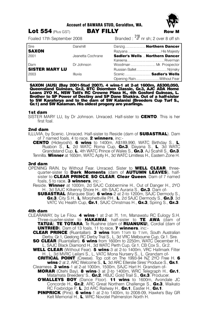 Saxon Reign - pedigree