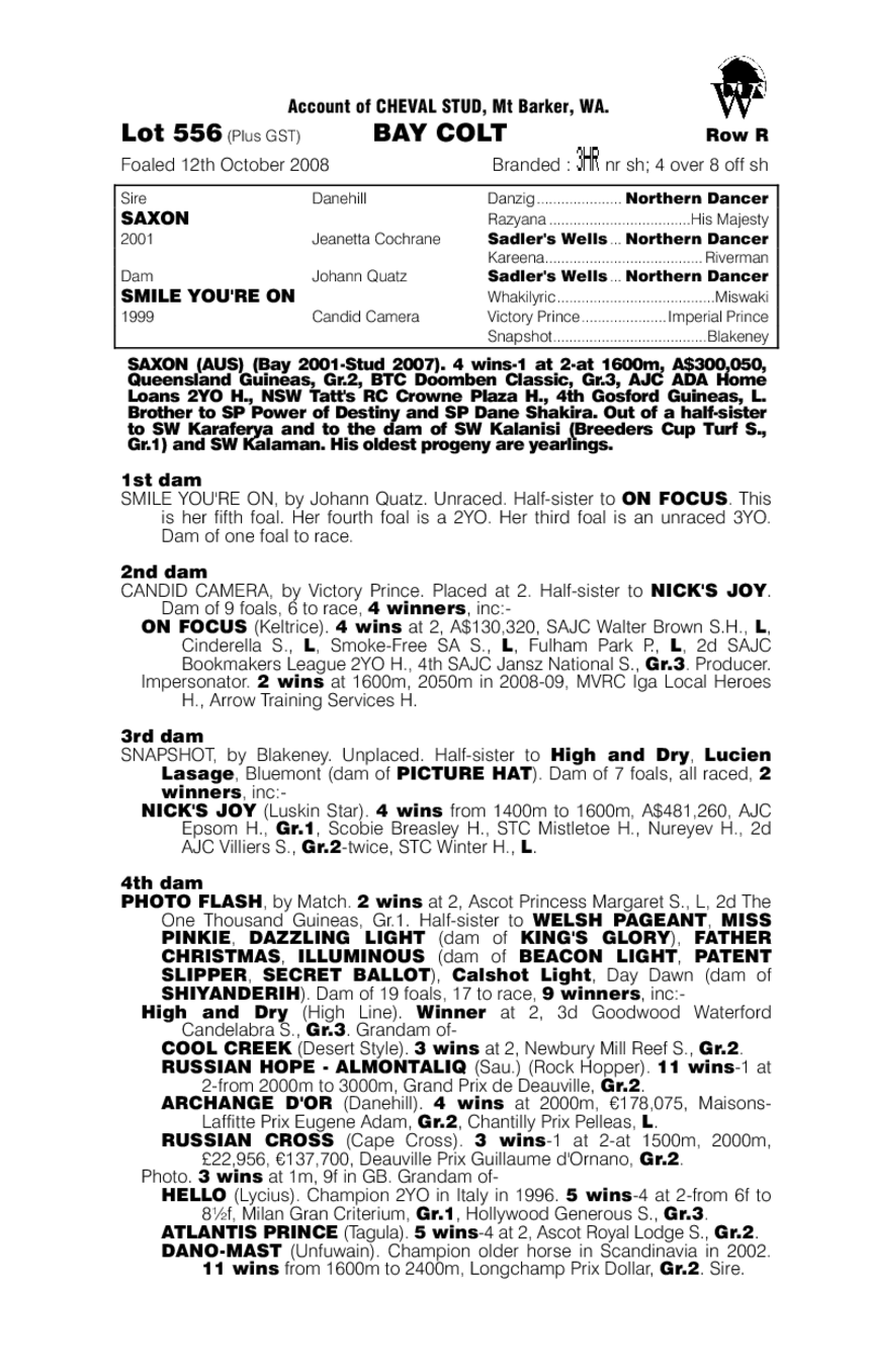 Smile Hagar - pedigree