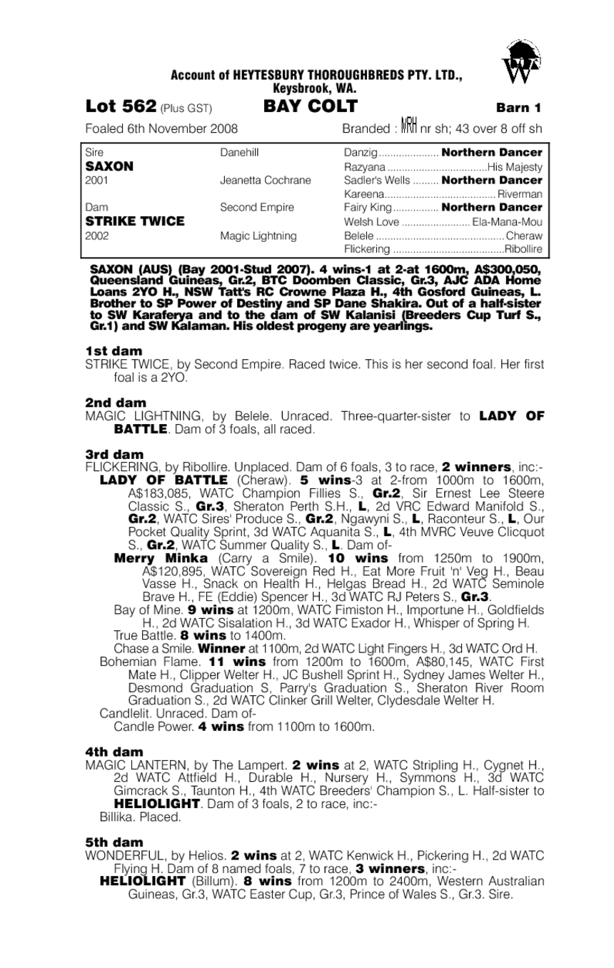 Go The Oh - pedigree