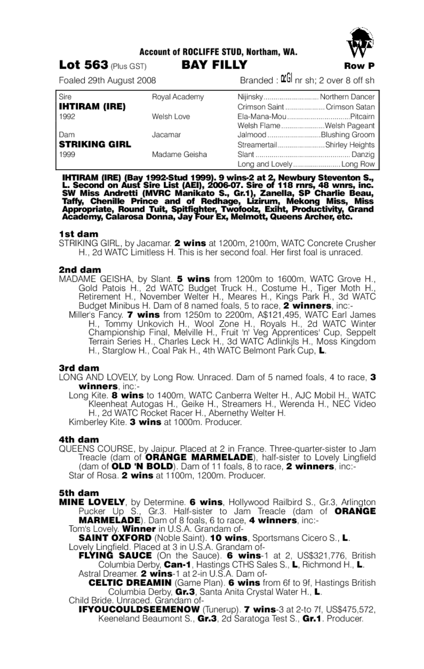 Confident Girl - pedigree