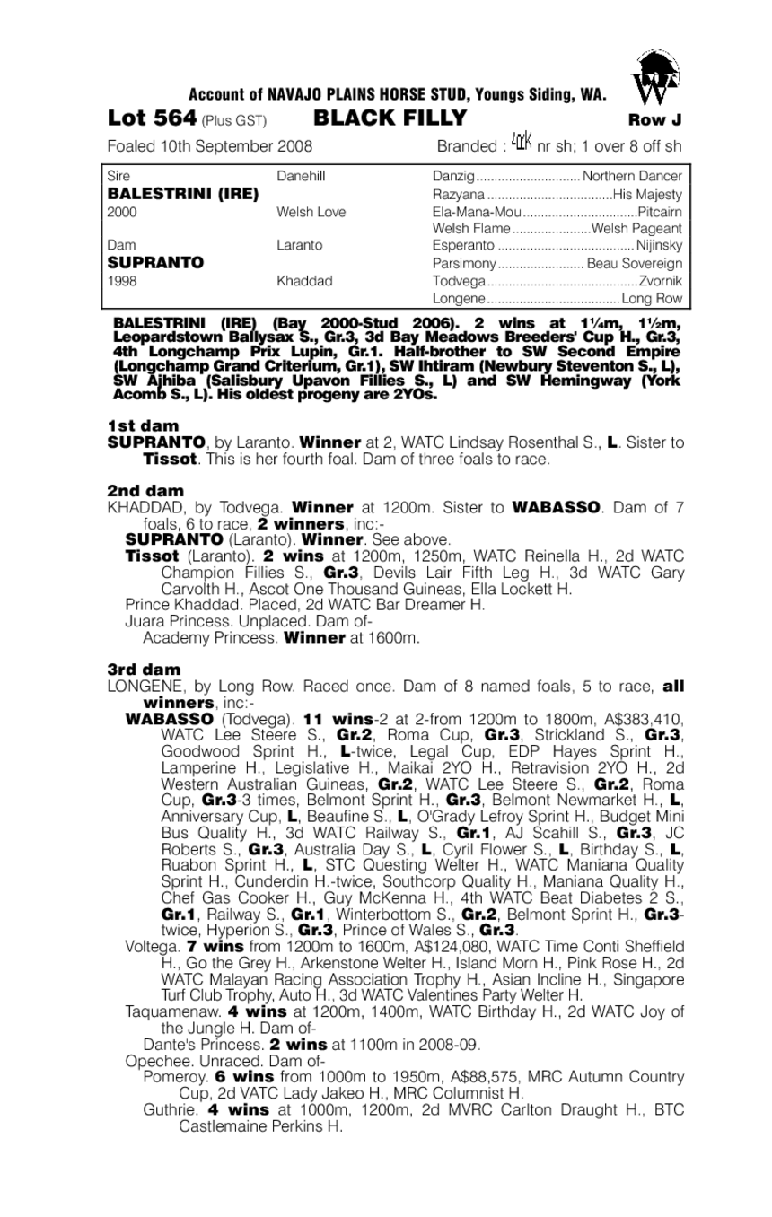 Rantorini - pedigree