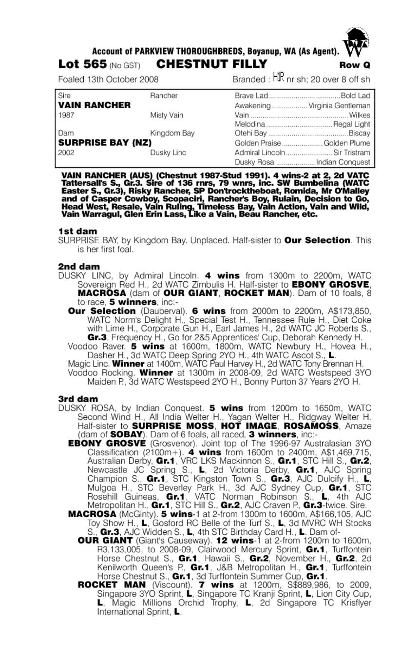 Ava Grace Ambition (AUS) - pedigree