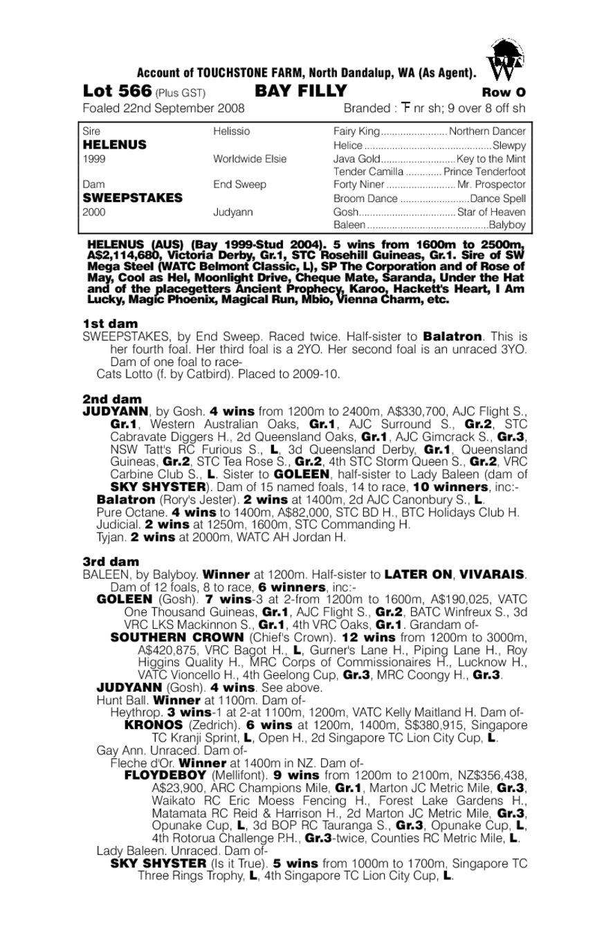 Miss Helios - pedigree