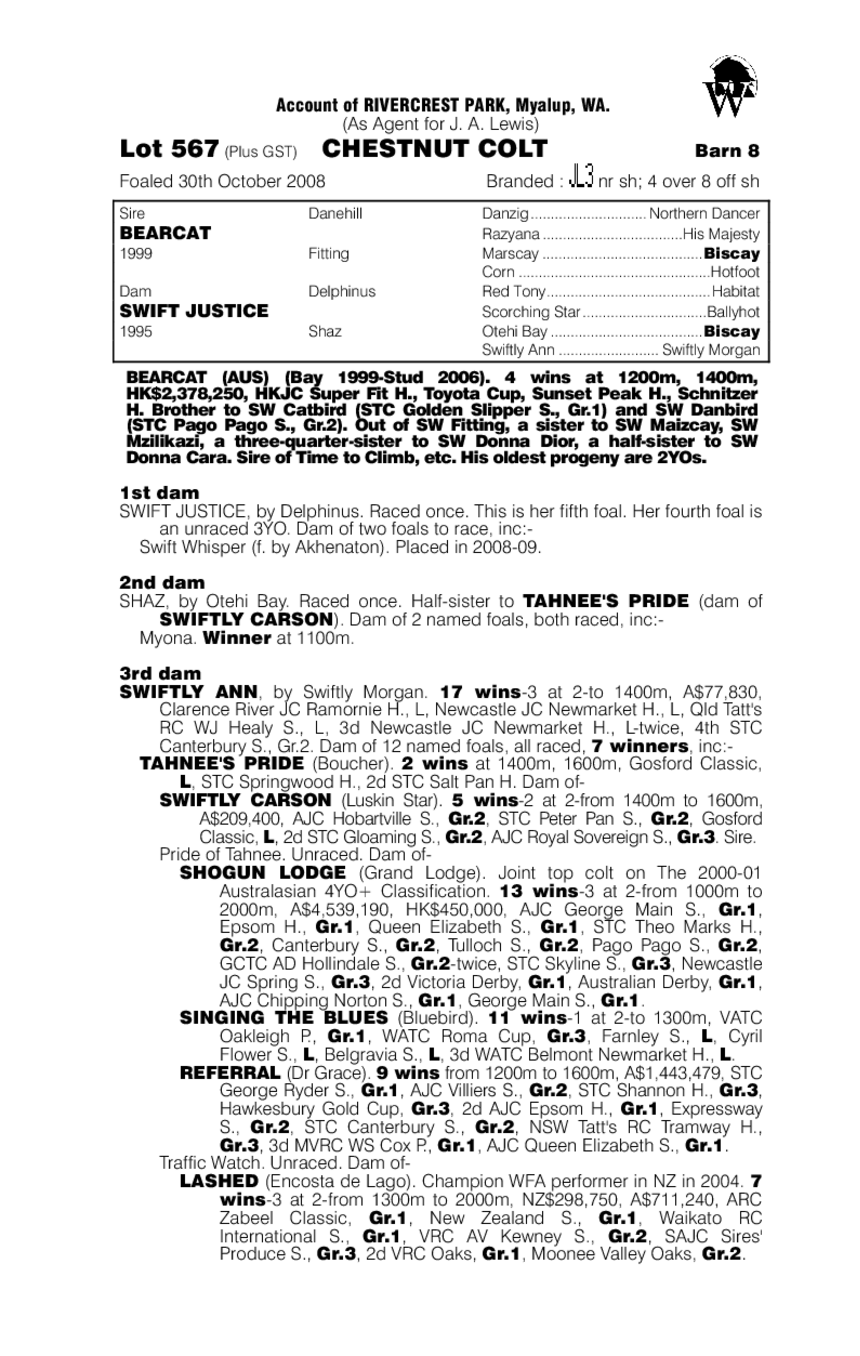 Big Brown Bear - pedigree