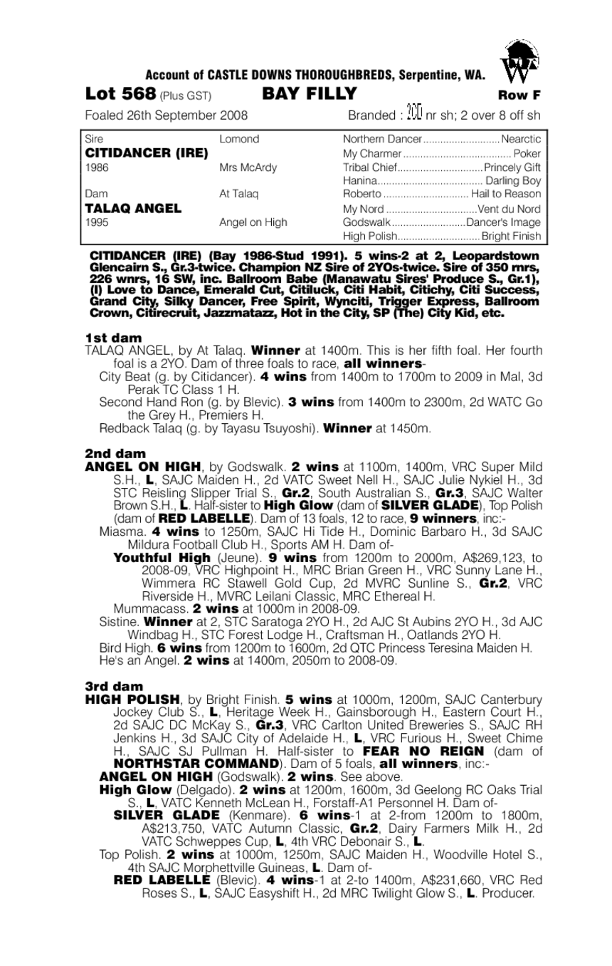 All About Angel - pedigree