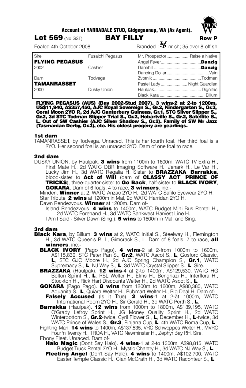 Algerian Princess - pedigree