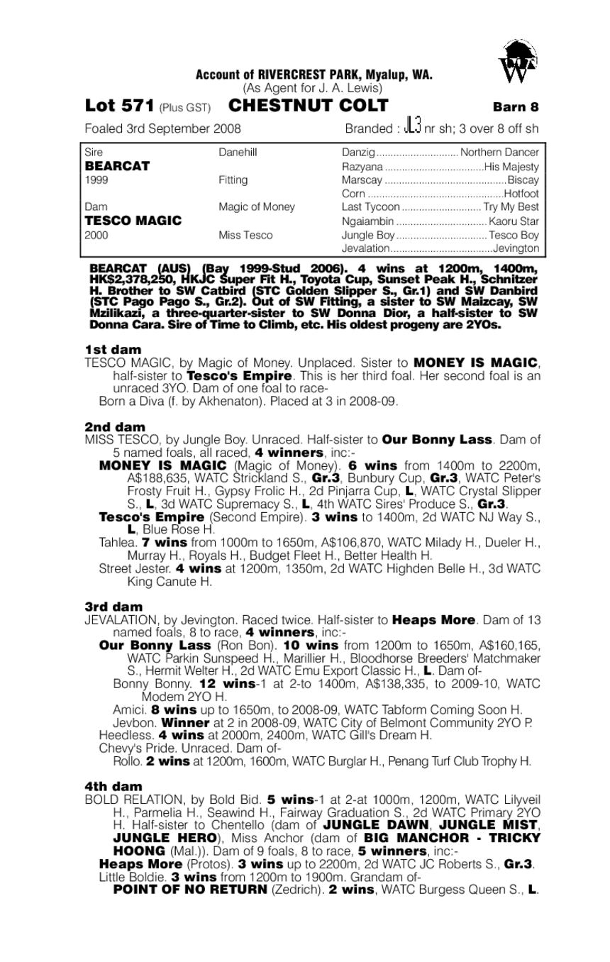 Little Larrikin - pedigree