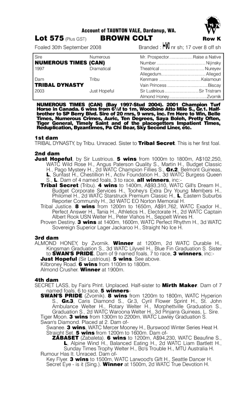 Numerous Issues (AUS) - pedigree