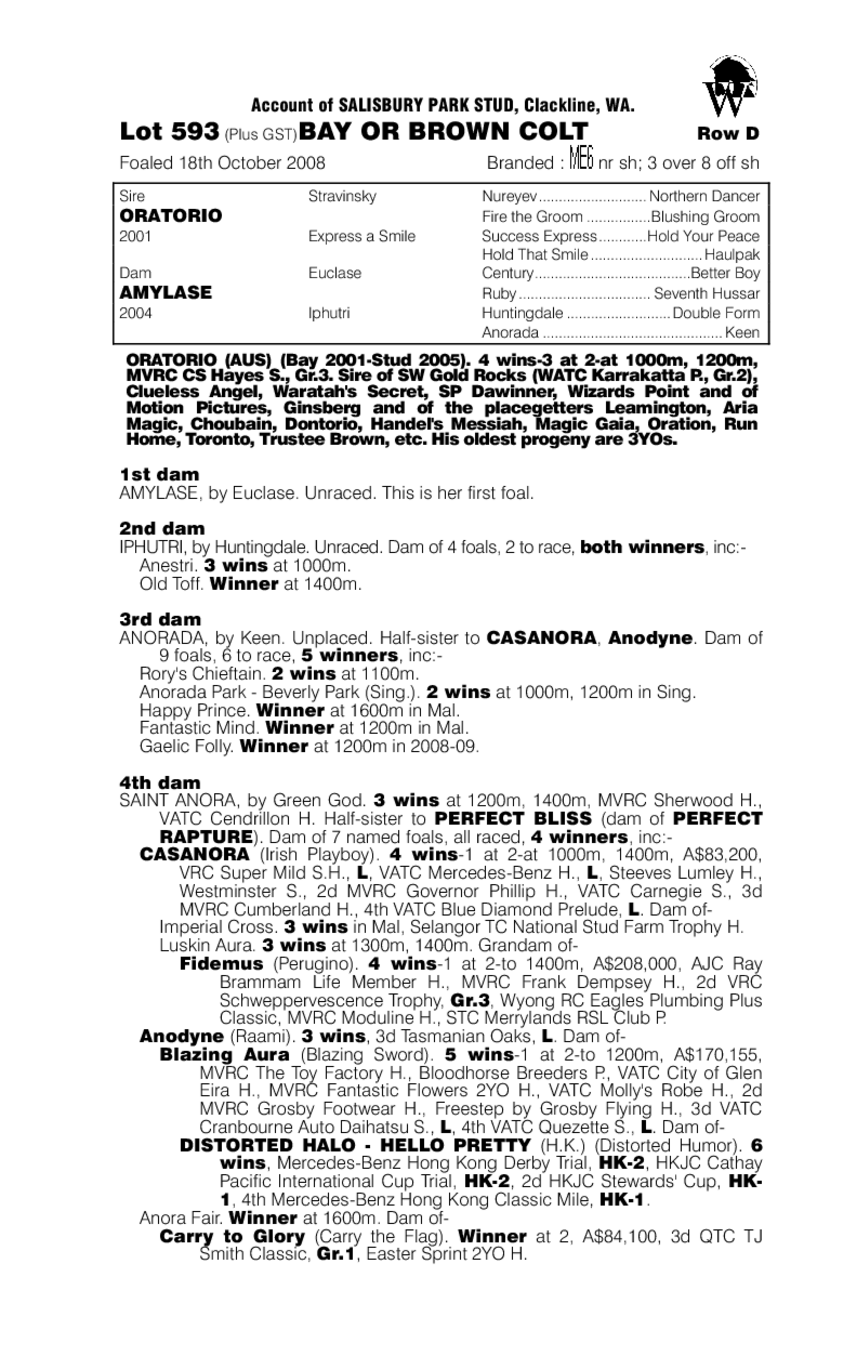 Oratorio (AUS) / Amylase (AUS) - pedigree