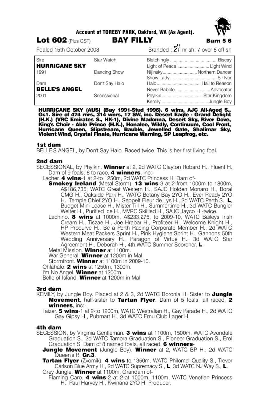 Clarity Belle - pedigree