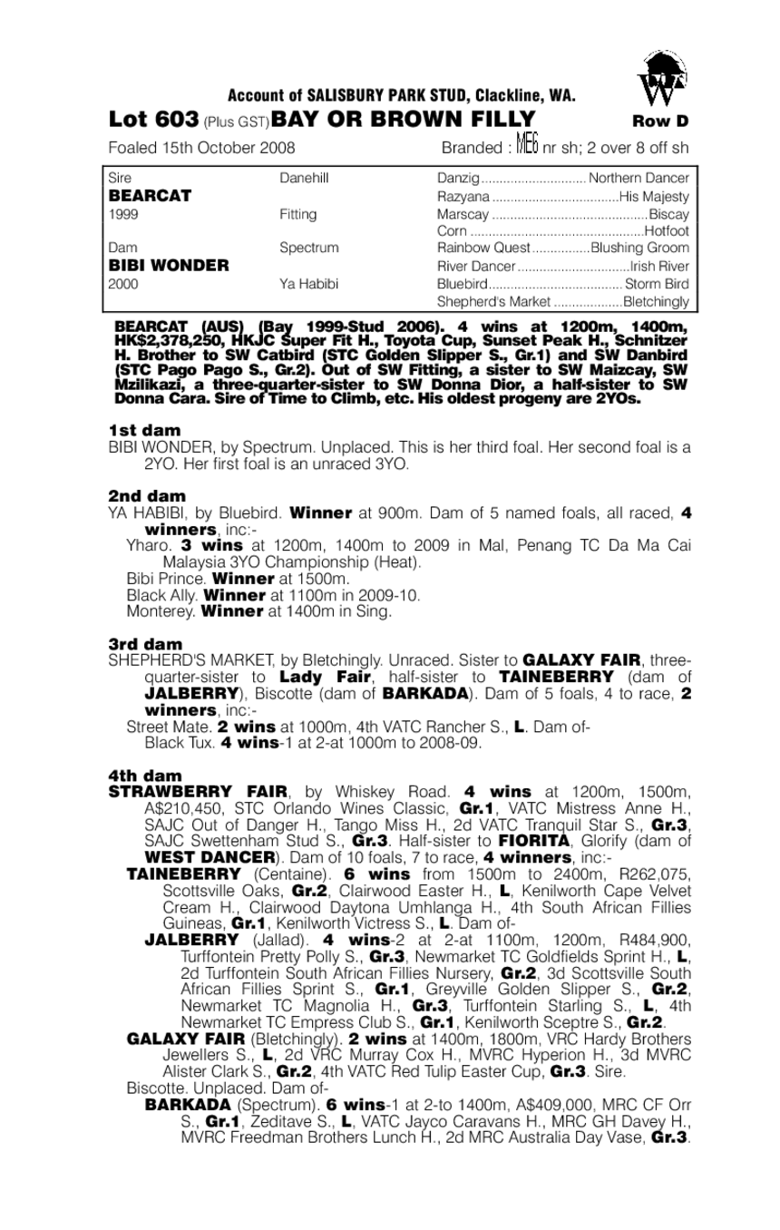 Maddisons Dream - pedigree