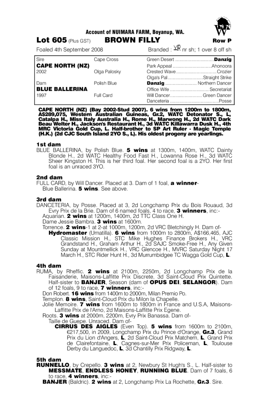 Pivotal Direction - pedigree